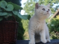1-img_9154
