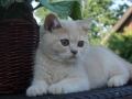 1-img_9163