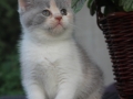 1-img_9060
