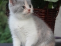 1-img_9078