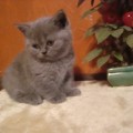 BALBINA