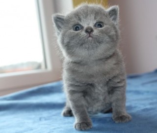 IMG_5410.jak-zmniejszyc-fotke_pl