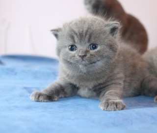 IMG_5438.jak-zmniejszyc-fotke_pl