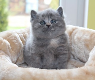 IMG_7204.jak-zmniejszyc-fotke_pl