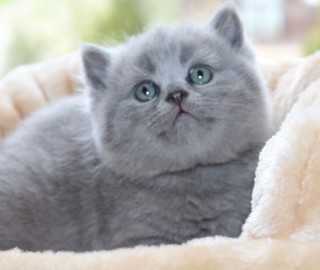 IMG_7247.jak-zmniejszyc-fotke_pl