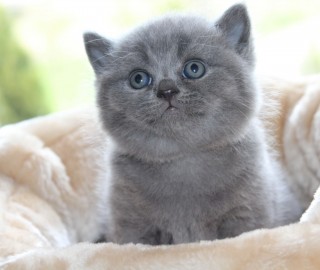 IMG_7265.jak-zmniejszyc-fotke_pl