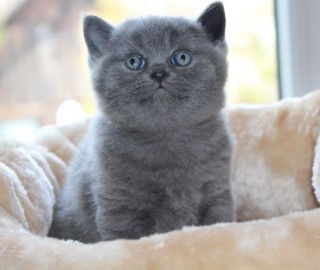 IMG_7292.jak-zmniejszyc-fotke_pl