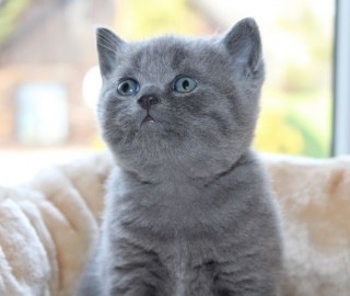 IMG_7296.jak-zmniejszyc-fotke_pl