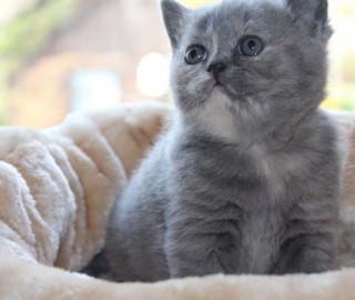 IMG_7302.jak-zmniejszyc-fotke_pl