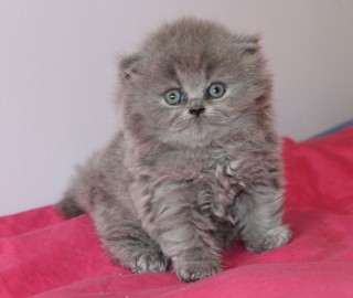 IMG_7543.jak-zmniejszyc-fotke_pl