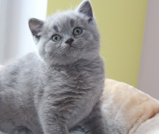 IMG_7601.jak-zmniejszyc-fotke_pl