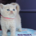 Bianka