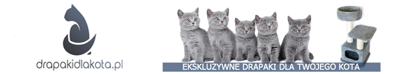 Drapaki dla kota - baner 5 jpg - 800 x 150