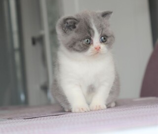 IMG_5930 (2)