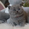 Olga